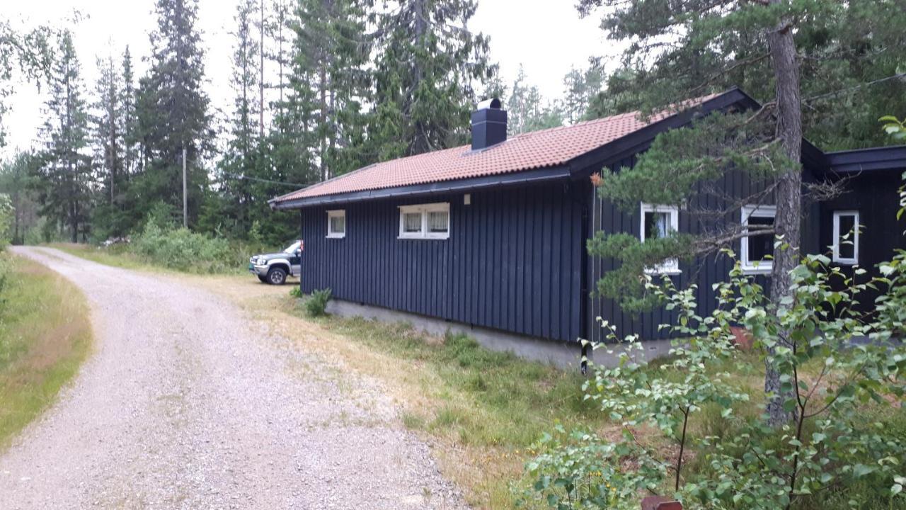 Granheim Hytte Med 2 Soverom Birkeland Eksteriør billede